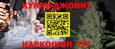 дживик Можга
