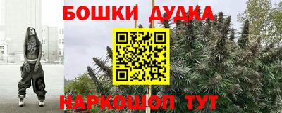 дживик Можга