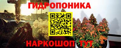 дживик Можга