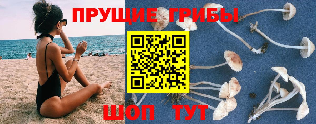 Галлюциногенные грибы Psilocybine cubensis  Вход с VPN  Чистополь 