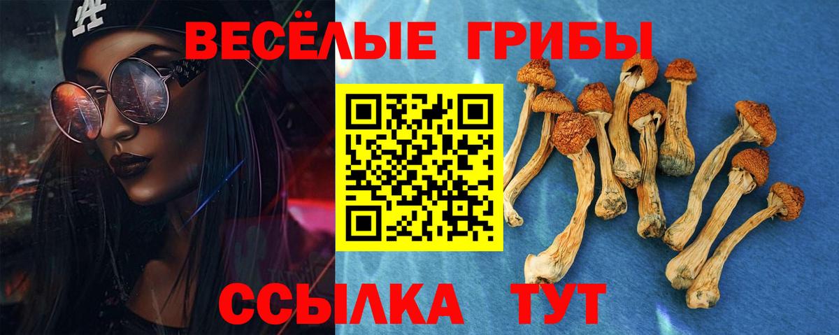 Псилоцибиновые грибы MAGIC MUSHROOMS Чистополь