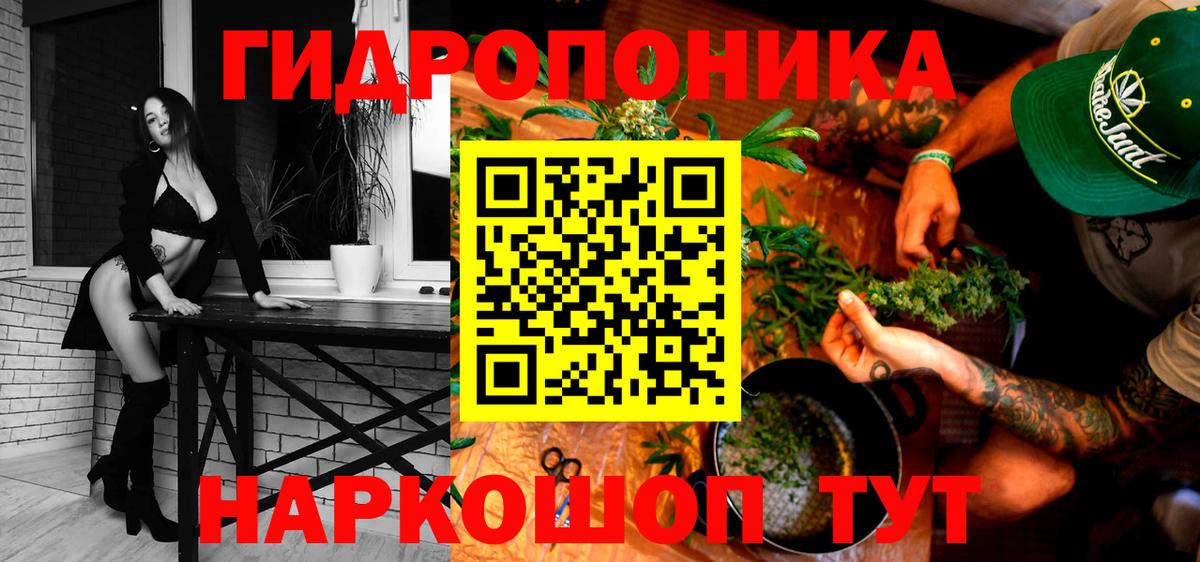 Каннабис индика  Вход с VPN  Марихуана семена  Канабис AK-47  Чистополь 